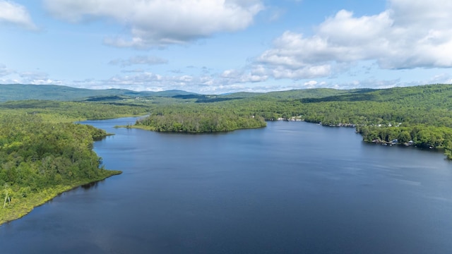 31 Sherene Orchard Rd, Meredith, NH 03253 - drone / aerial view of a heavily wooded area and a water and mountain view