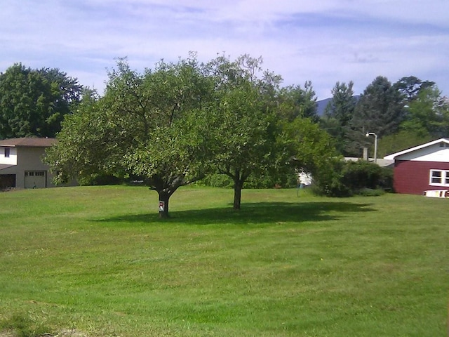 145 Langdell Rd, Morristown, VT 05661