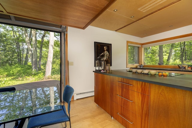 518 Shaker Blvd, Enfield, NH 03748 - bar area featuring a baseboard radiator and light wood-type flooring