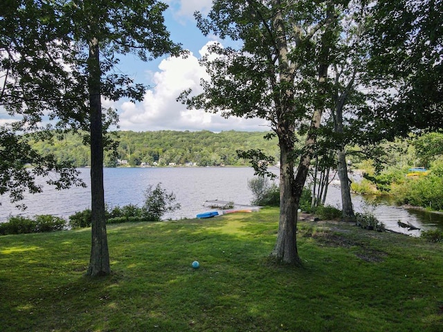 518 Shaker Blvd, Enfield, NH 03748 - water view featuring a heavily wooded area