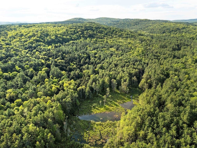 0 Newton Ln, Norwich, VT 05055