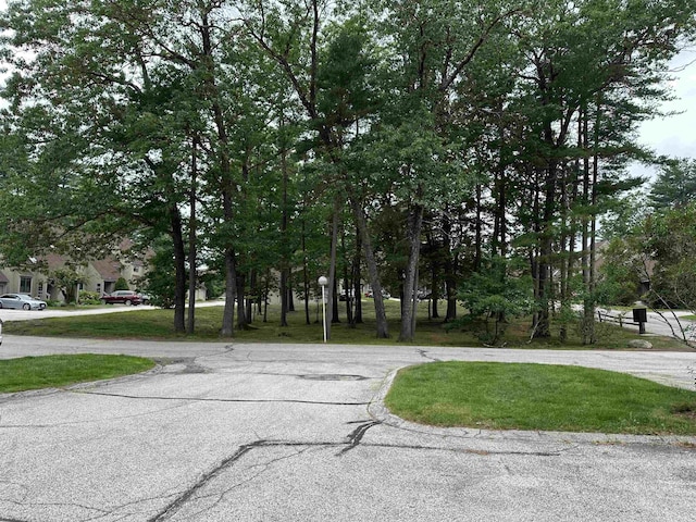 11 Pimlico Ct, Bedford, NH 03110 - view of asphalt road