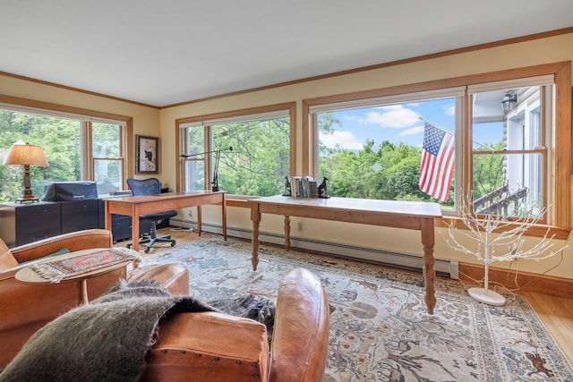 372 Brill Rd, Landaff, NH 03785 - office space with baseboard heating, wood finished floors, ornamental molding, and baseboards