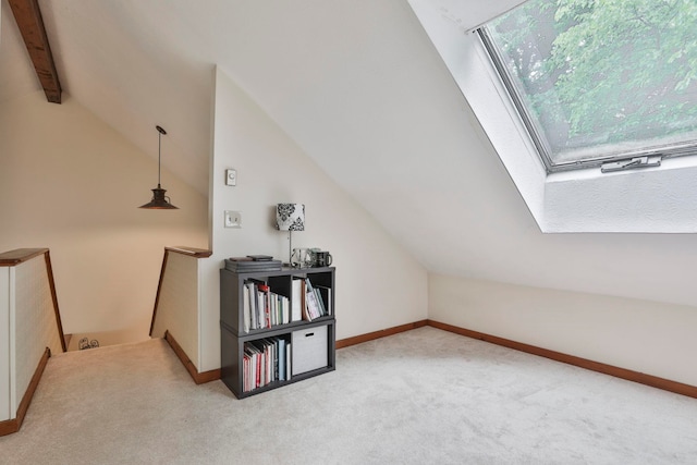 47 Trailside Ln Unit 18, Francestown, NH 03043 - additional living space with carpet and a skylight