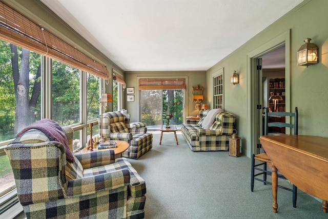 84 S Main St, Hanover, NH 03755 - sunroom featuring carpet flooring and a baseboard radiator