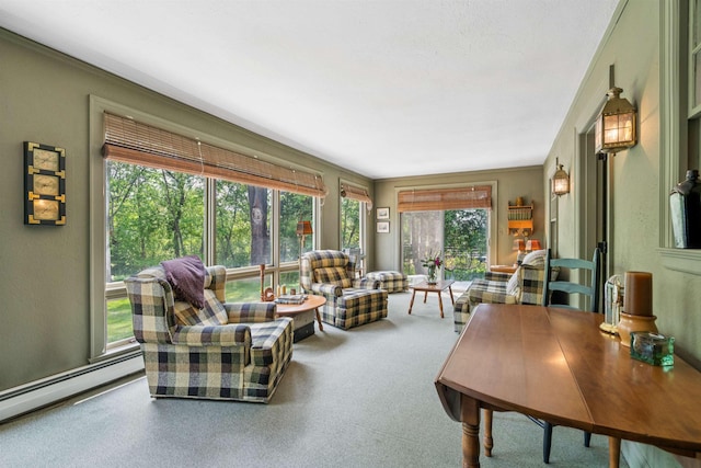 84 S Main St, Hanover, NH 03755 - carpeted living room with a baseboard radiator