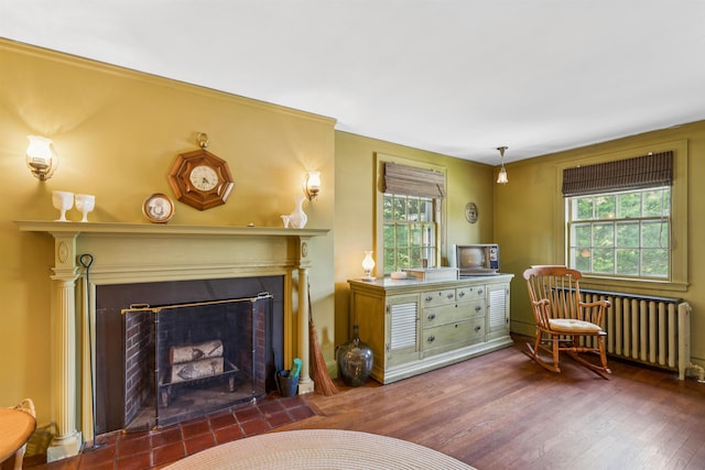 84 S Main St, Hanover, NH 03755 - living area featuring radiator heating unit, healthy amount of natural light, and wood finished floors