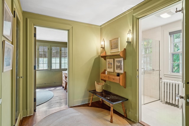 84 S Main St, Hanover, NH 03755 - hall featuring radiator heating unit, wood finished floors, and plenty of natural light