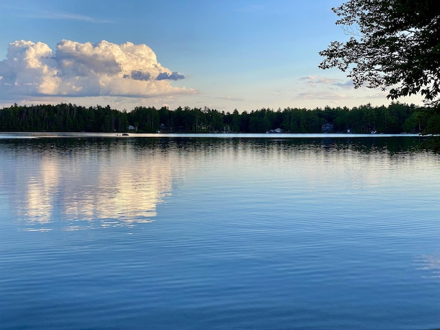 20 Nutter Dr, Alton, NH 03809
