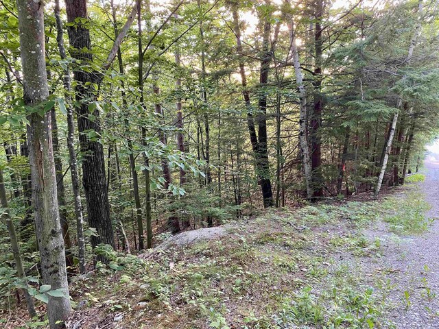 20 Nutter Dr, Alton, NH 03809