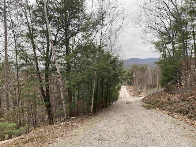 20 Nutter Dr, Alton, NH 03809