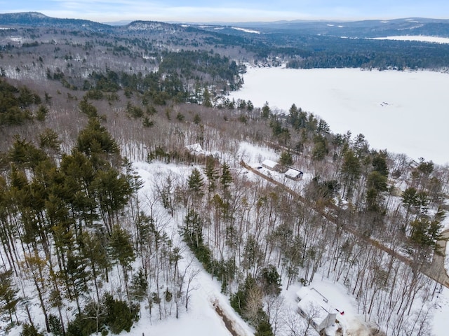 20 Nutter Dr, Alton, NH 03809