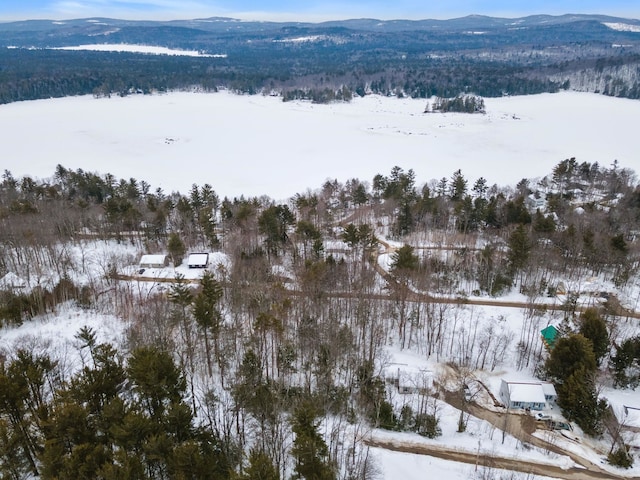 20 Nutter Dr, Alton, NH 03809