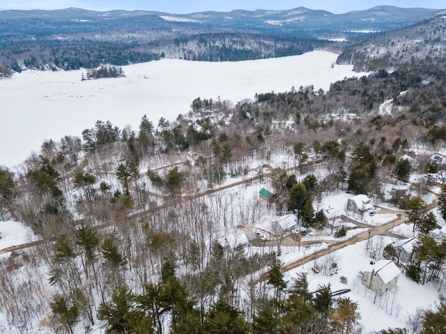 20 Nutter Dr, Alton, NH 03809