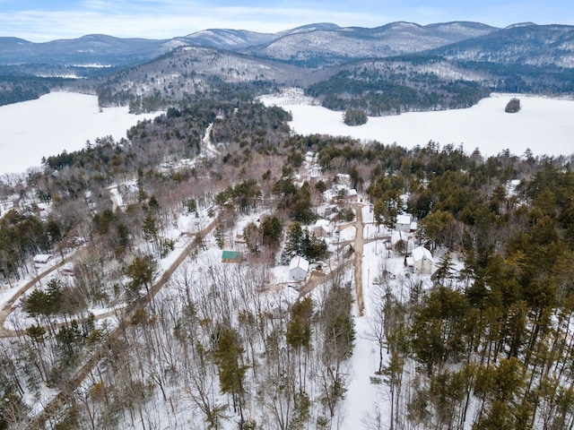 20 Nutter Dr, Alton, NH 03809
