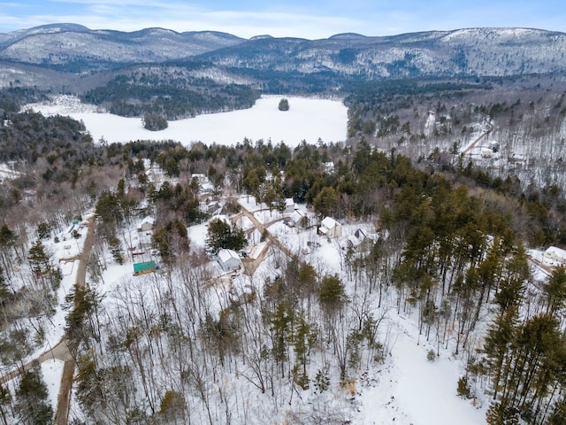20 Nutter Dr, Alton, NH 03809