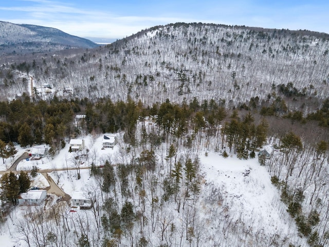 20 Nutter Dr, Alton, NH 03809