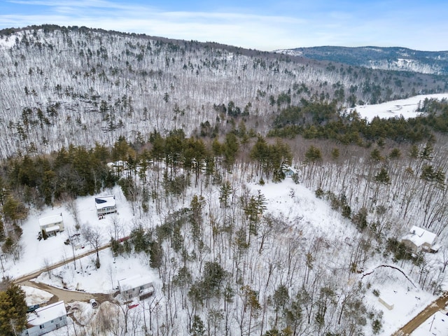 20 Nutter Dr, Alton, NH 03809