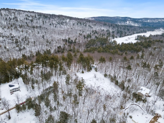 20 Nutter Dr, Alton, NH 03809