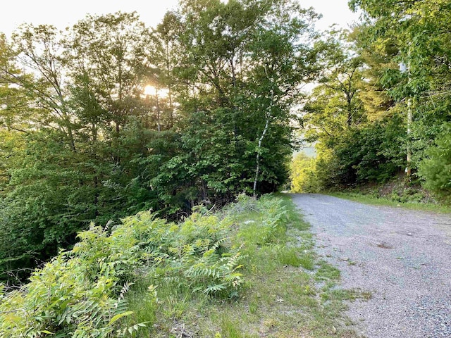 20 Nutter Dr, Alton, NH 03809
