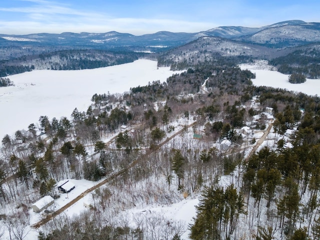 20 Nutter Dr, Alton, NH 03809