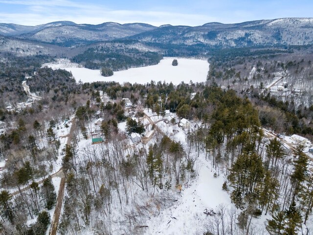 20 Nutter Dr, Alton, NH 03809