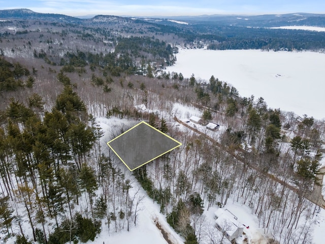 20 Nutter Dr, Alton, NH 03809