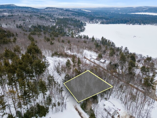 20 Nutter Dr, Alton, NH 03809