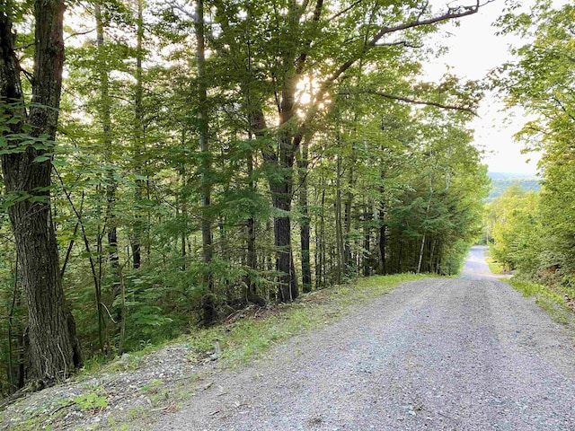 20 Nutter Dr, Alton, NH 03809