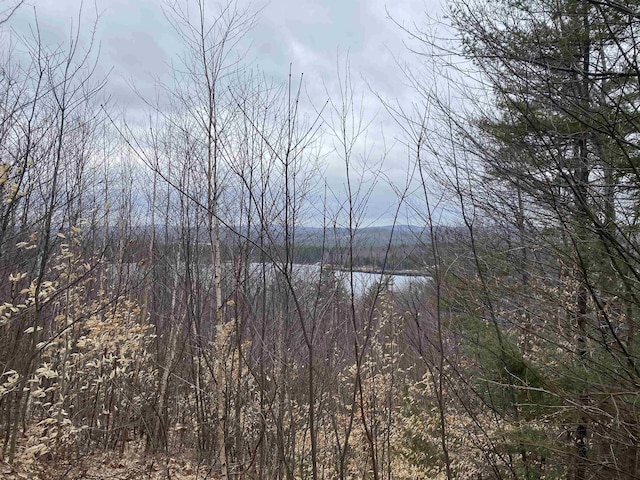 20 Nutter Dr, Alton, NH 03809