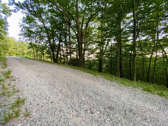 20 Nutter Dr, Alton, NH 03809