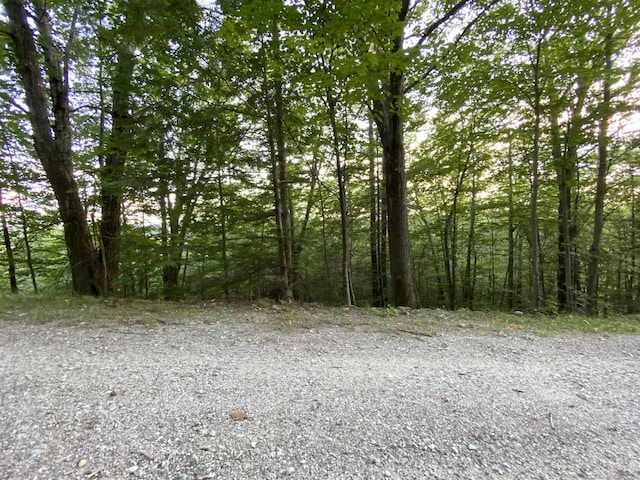 20 Nutter Dr, Alton, NH 03809