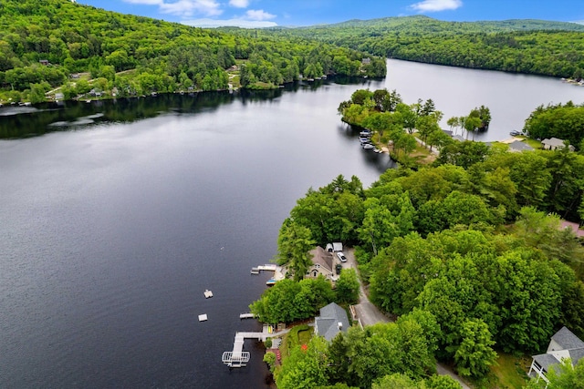 20 Bennett Cir, Antrim, NH 03440 - drone / aerial view of a heavily wooded area and a large body of water