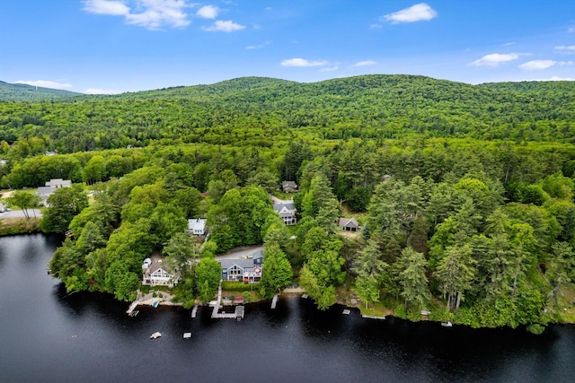 20 Bennett Cir, Antrim, NH 03440 - bird's eye view of a heavily wooded area and a water and mountain view