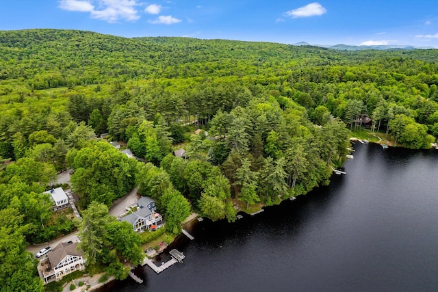 20 Bennett Cir, Antrim, NH 03440 - bird's eye view of a forest and a large body of water