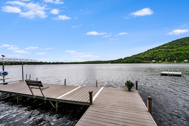 20 Bennett Cir, Antrim, NH 03440 - dock area featuring a water view and a forest view