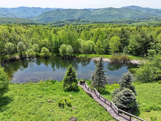 1074 N Hollow Rd, Rochester, VT 05767 - bird's eye view of a water and mountain view