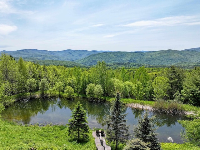 1074 N Hollow Rd, Rochester, VT 05767 - water view featuring a mountain backdrop