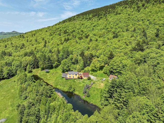 1074 N Hollow Rd, Rochester, VT 05767 - aerial view of property and surrounding area featuring a forest and a water and mountain view