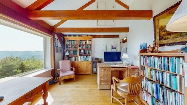 1074 N Hollow Rd, Rochester, VT 05767 - office space featuring light wood-type flooring and a mountain view