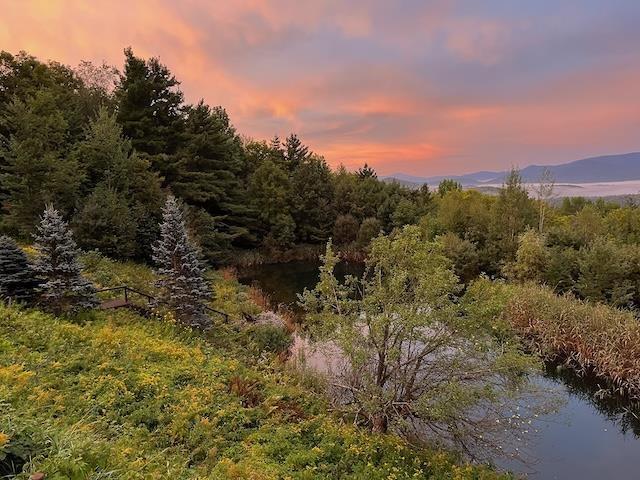 1074 N Hollow Rd, Rochester, VT 05767 - nature at dusk with a water and mountain view and a wooded view