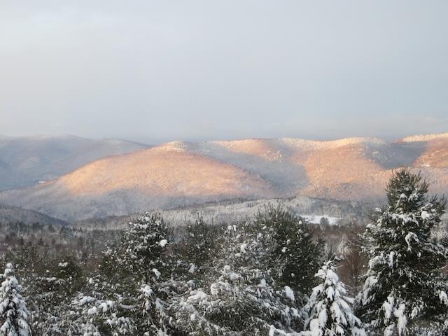 1074 N Hollow Rd, Rochester, VT 05767 - view of mountain background