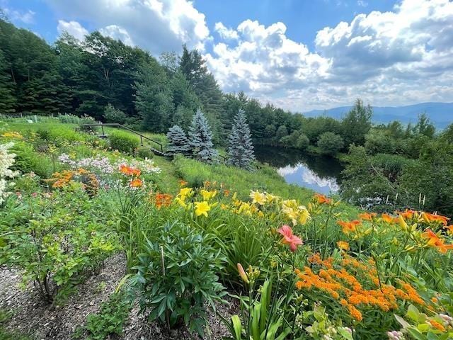 1074 N Hollow Rd, Rochester, VT 05767 - view of tree filled area featuring a water view