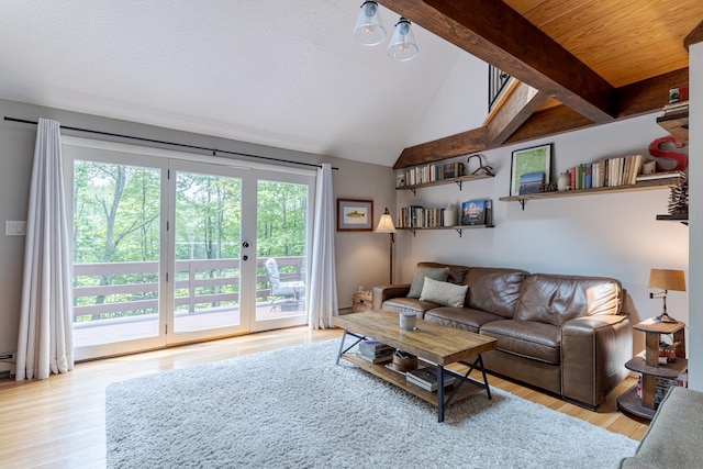12 Garrison Ln, Madbury, NH 03823 - living room with healthy amount of natural light, vaulted ceiling, and light wood-type flooring