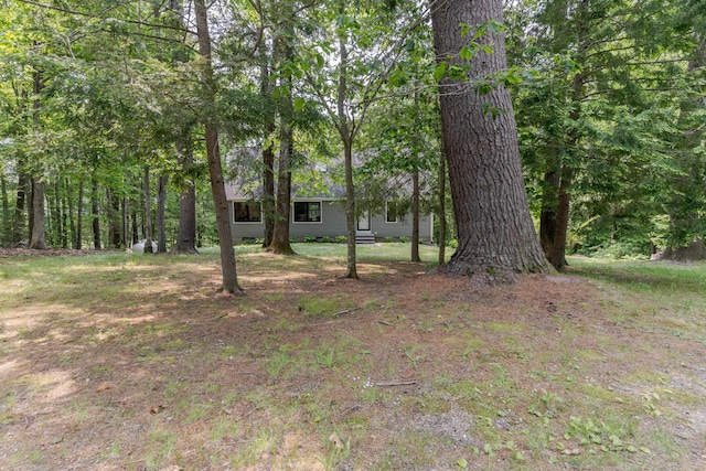 12 Garrison Ln, Madbury, NH 03823 - view of yard