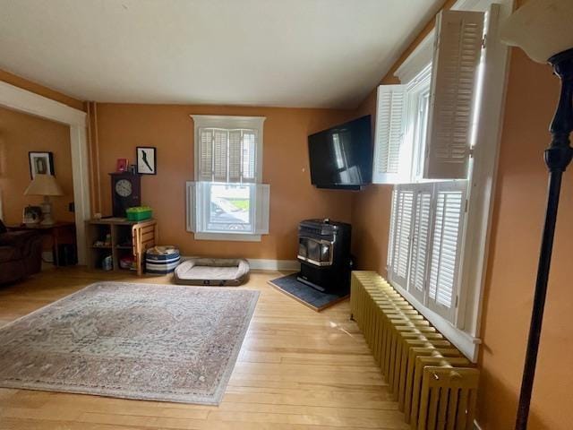 11 Alpine St, Gorham, NH 03581 - living room featuring plenty of natural light, a wood stove, and wood finished floors