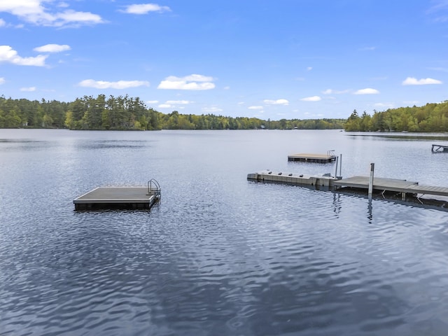 23 E Shore Dr, Greene, ME 04236 - dock featuring a wooded view and a water view