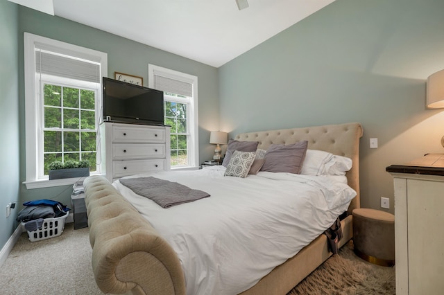 116 Piscataqua Rd Unit C, Durham, NH 03824 - bedroom with carpet flooring