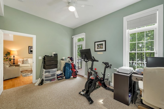 116 Piscataqua Rd Unit C, Durham, NH 03824 - exercise room featuring ceiling fan, plenty of natural light, and carpet flooring