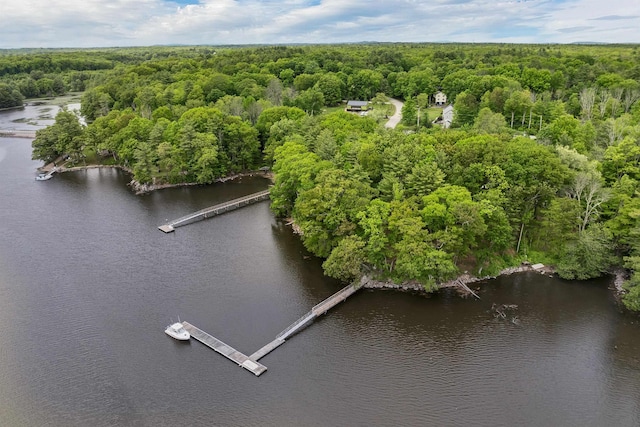 116 Piscataqua Rd Unit C, Durham, NH 03824 - bird's eye view of a heavily wooded area and a large body of water